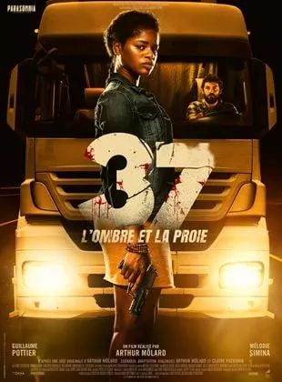 Affiche du film 37 : l'ombre et la proie
