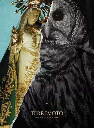 Affiche du film Terremoto