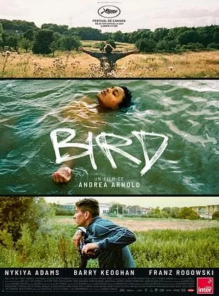 Affiche du film Bird