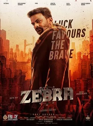 Affiche du film Zebra