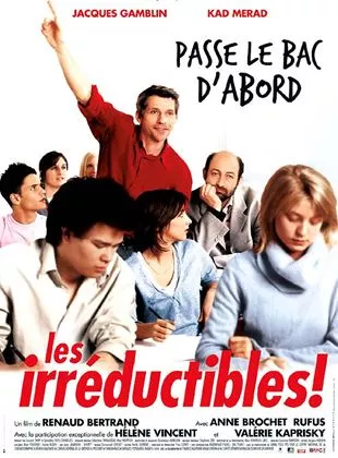 Affiche du film Les Irréductibles