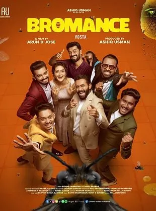 Affiche du film Bromance