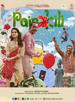 Affiche du film Painkili