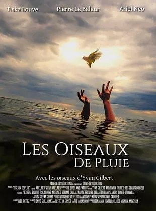Affiche du film Les Oiseaux de Pluie
