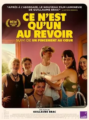 Affiche du film Ce n'est qu'un au revoir