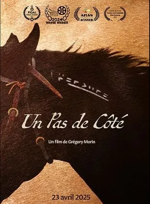 Affiche du film Un Pas de Côté