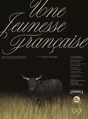Affiche du film Une Jeunesse Française