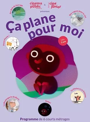 Affiche du film Ça plane pour moi