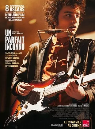 Affiche du film Un parfait inconnu