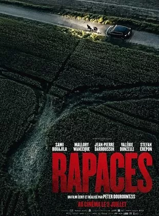 Affiche du film Rapaces