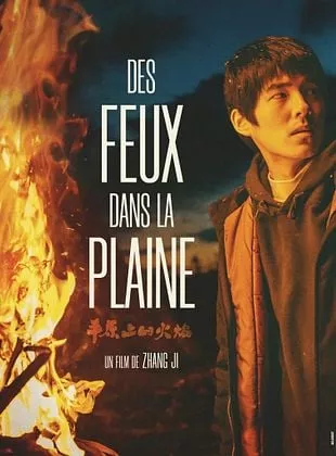 Affiche du film Des Feux dans la Plaine
