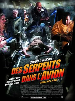 Affiche du film Des serpents dans l'avion