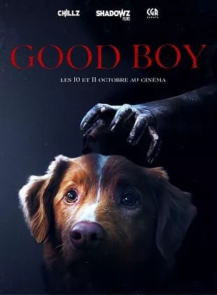 Affiche du film Good Boy