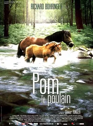Affiche du film Pom le poulain