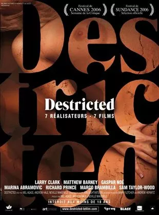 Affiche du film Destricted
