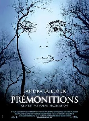 Affiche du film Prémonitions