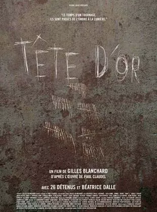 Affiche du film Tête d'or