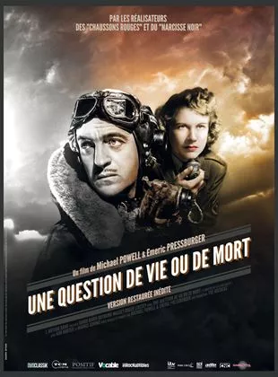 Affiche du film Une Question de vie ou de mort