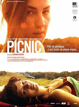 Affiche du film Picnic