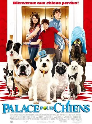 Affiche du film Palace pour chiens