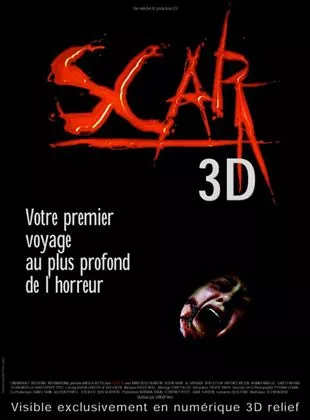 Affiche du film Scar 3D