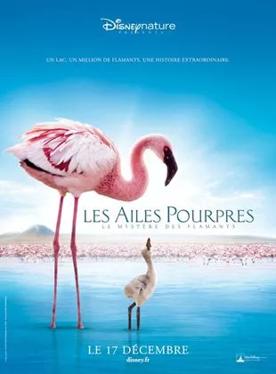 Affiche du film Les Ailes pourpres : le mystère des flamants