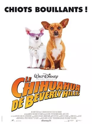 Affiche du film Le Chihuahua de Beverly Hills