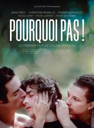 Affiche du film Pourquoi pas!