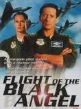 Affiche du film Flight of Black Angel