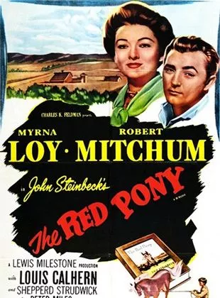 Affiche du film Le Poney rouge