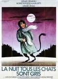 Affiche du film La Nuit tous les chats sont gris