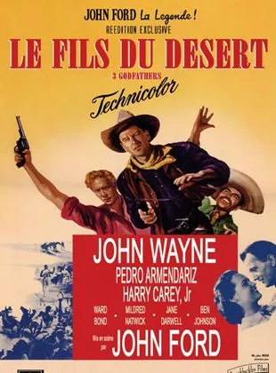 Affiche du film Le Fils du désert