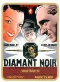 Affiche du film Le Diamant noir