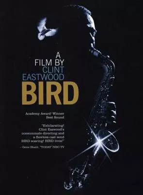 Affiche du film Bird