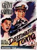 Affiche du film Destination Tokyo