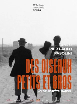 Affiche du film Des oiseaux petits et grands