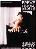Affiche du film Breve Histoire d'amour