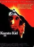 Affiche du film Karate Kid 3