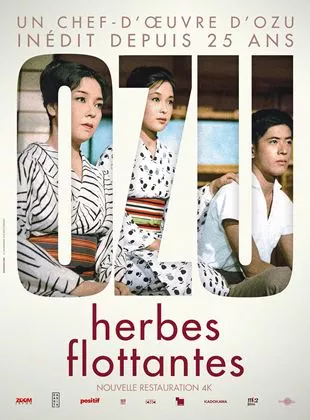 Affiche du film Herbes flottantes