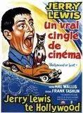 Affiche du film Un Vrai cinglé de cinema