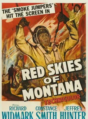 Affiche du film Duel dans la forêt