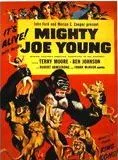 Affiche du film Monsieur Joe