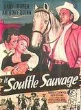 Affiche du film Le Souffle sauvage