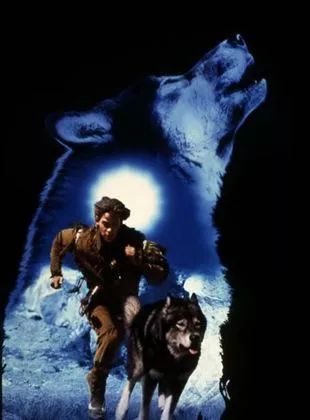 Affiche du film Les Nouvelles Aventures de Croc-Blanc