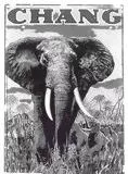 Affiche du film Chang, a Drama of the Wilderness