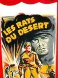 Affiche du film Les Rats du désert