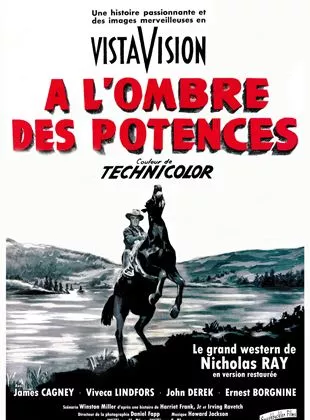 Affiche du film A l'ombre des potences