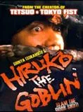 Affiche du film Hiruko the Goblin