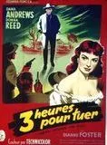 Affiche du film Trois heures pour tuer