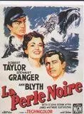 Affiche du film La Perle noire